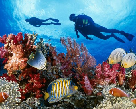 5 Things to do in Paphos